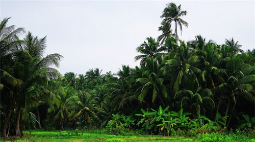 10万块钱开烧烤店创业靠谱吗