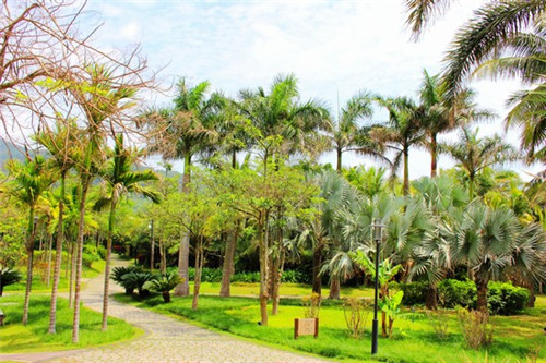 一锅倾城石锅鱼火锅三线城市可以加盟吗