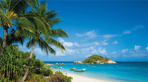 云仰皇茶在宣威市有几家加盟店