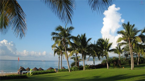 素允饭拍，素允奶茶加盟费多少