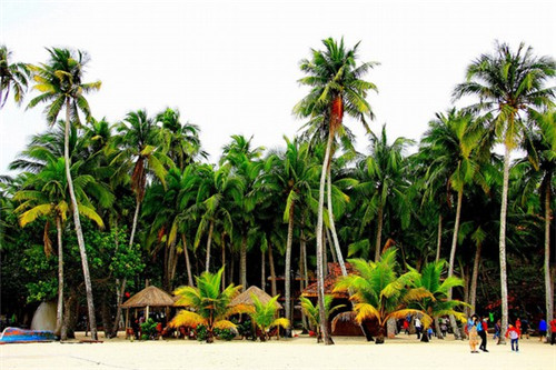 轻食加盟投资开店哪家项目利润高