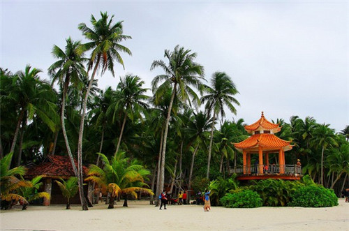 青笋炒木耳素炒芹菜做法（青笋炒木耳怎样炒）