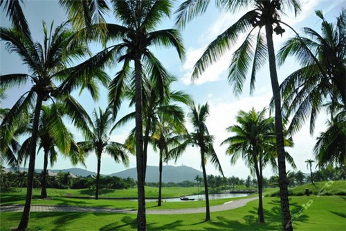 业主交物业费是干什么的（业主交物业费享受什么服务）