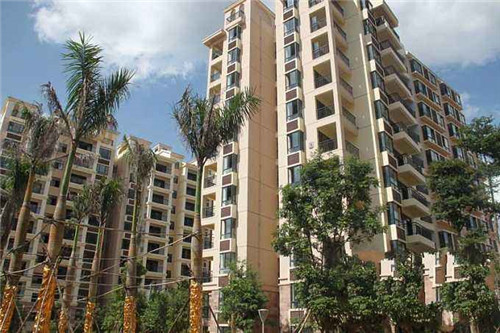 煎艾糍怎么做好吃（艾糍可以煎着吃吗）